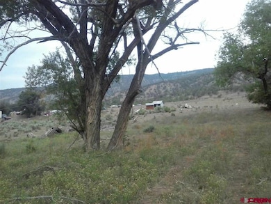 32651 County Road 500, Pagosa Springs, CO 81147 - photo 4