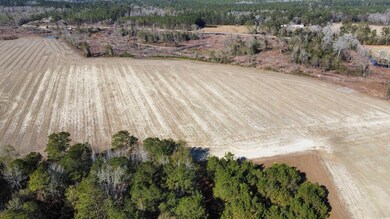 TBD Shelley Ln, Nichols, SC 29581 - photo 6