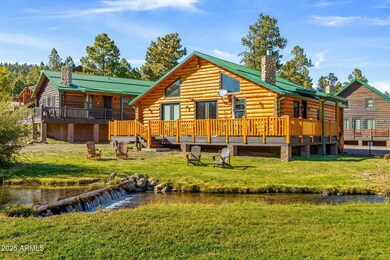 44 N Main St unit 175, Greer, AZ 85927 - photo 4