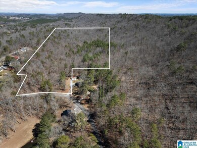 0 Oak Ridge Dr unit 21431508, Oneonta, AL 35121 - photo 2