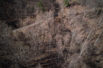 Lot 6A Freeman Overlook, Almond, NC 28702 - photo 6