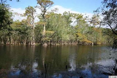 708 Tilly Pine Dr unit Lot 57 Rivers Edge P, Conway, SC 29526 - photo 3