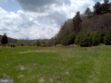 0 Native Trout Ln unit 1003504916, Moyers, WV 26815 - photo 6
