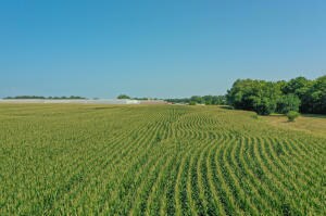 000 Foster Ln, Stanford, KY 40484 - photo 3