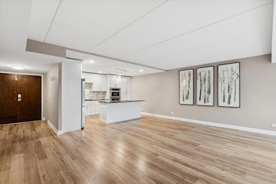 1301 N Western Ave unit 211, Lake Forest, IL 60045 - photo 4