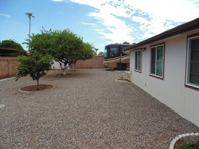 Back Yard Fruit Trees