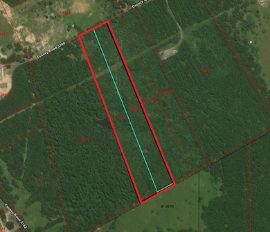 378 County Road 3290, Joaquin, TX 75954 - photo 2