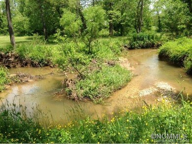 136 Bridges Family Dr, Asheville, NC 28806 - photo 3
