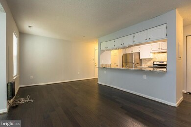 2603 Camelback Ln unit 3, Silver Spring, MD 20906 - photo 4