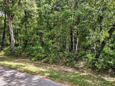 TBD NE 155th Ct, Williston, FL 32696 - photo 3