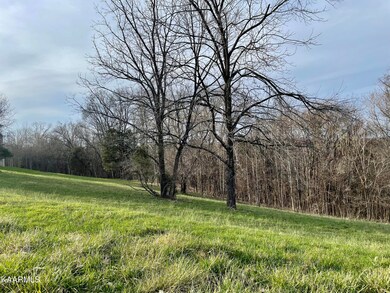 2041 Bear Creek Point, Cookeville, TN 38506 - photo 4