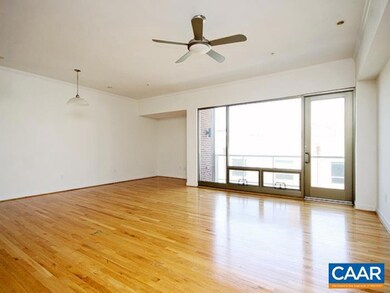 112 5th St SE unit 3B, Charlottesville, VA 22902 - photo 3
