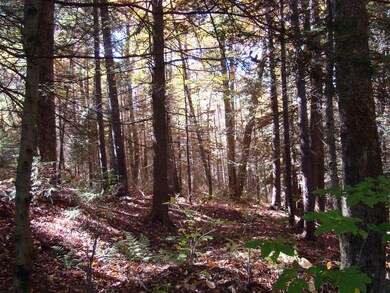 5 Ghastly Job Way unit 5, Wilmington, VT 05363 - photo 7