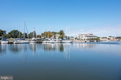 900 Marshy Cove unit 207E, Cambridge, MD 21613 - photo 4
