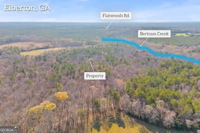 0 Lincolnton Hwy unit 10656813, Elberton, GA 30635 - photo 5