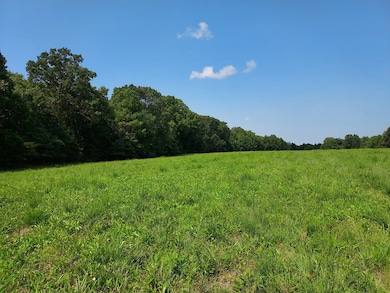 0 Sulphur Creek Rd unit RTC3041581, Big Sandy, TN 38221 - photo 6