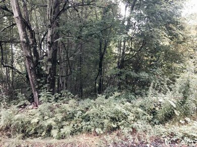 0 E Lantern St unit 1133009, Lincoln, RI 02865 - photo 2