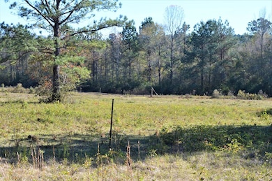 ... Hwy 98 and Pike 93 Central, McComb, MS 39648 - photo 2