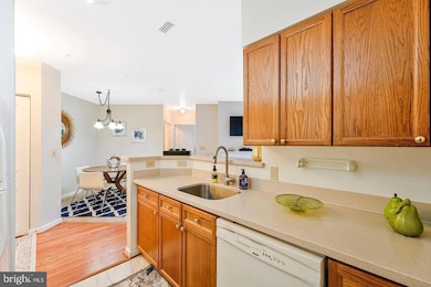 2204 Westcourt Ln unit 313, Herndon, VA 20170 - photo 6