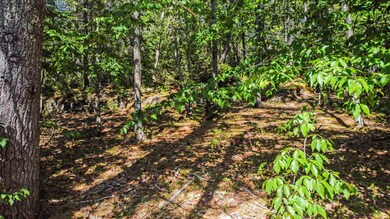 05_DJI_0065_copy_DxO_mls