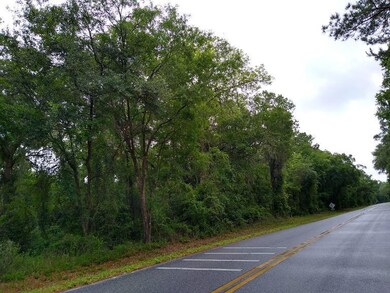 0 SE County Road 349, Lake City, FL 32025 - photo 4