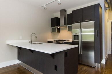 10 Saint George St unit 402, Boston, MA 02118 - photo 4