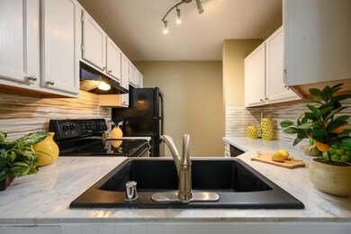 New Sink & Faucet