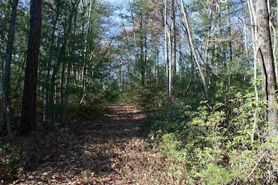 40 Via Pioli Rd, Kerhonkson, NY 12446 - photo 2