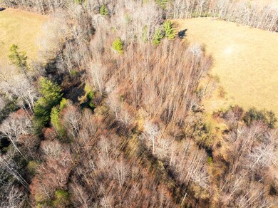DJI_20241208135110_0010_D