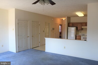 222 Sunbrook Ln unit 141, Hagerstown, MD 21742 - photo 7