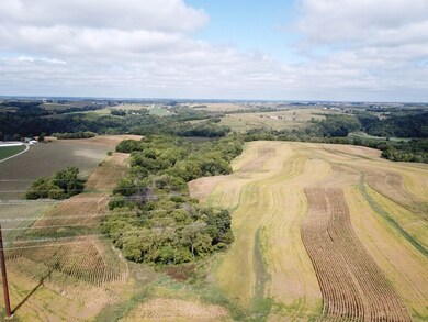+/-25 Acres Bee Ln, Lancaster, WI 53813 - photo 2