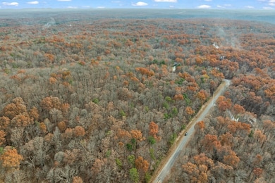 1421 E Overlook Rd, Monterey, TN 38574 - photo 4