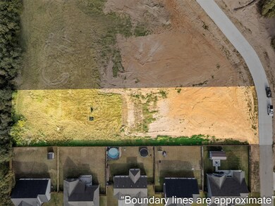 2202 Rattler Way, Tolar, TX 76476 - photo 5