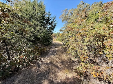 Big Tree Rd, Montague, TX 76251 - photo 2