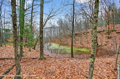 308 Shady Glen Rd, East Durham, NY 12423 - photo 6