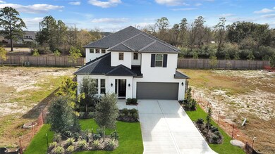 113 Cedar Hammock Trail, Tomball, TX 77375 - photo 5