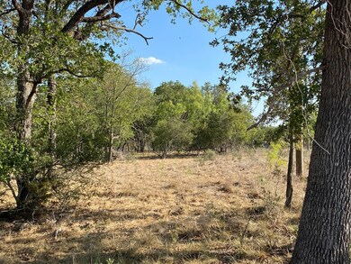 00 Pfiester Rd, Fredericksburg, TX 78624 - photo 5