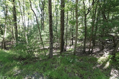 159 Majestic Dr, Chestnuthill Township, PA 18353 - photo 3