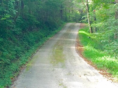 325 Sinks Rd, Somerset, KY 42501 - photo 5