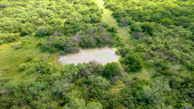 0 Cr 59 South of Fm 70 unit 11356339, Bishop, TX 78343 - photo 5