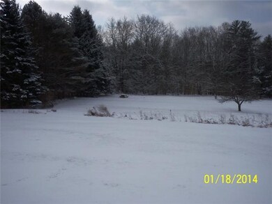 Yard/Garden