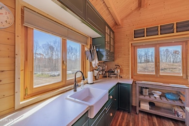 642 Copper Ridge Rd, Eidson, TN 37731 - photo 6