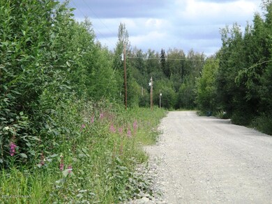 2728 S Walnut Wood Dr, Big Lake, AK 99652 - photo 3