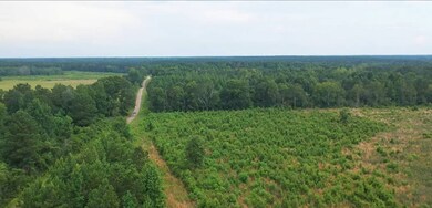 0 Hammond Rd unit 11549597, Monticello, MS 39654 - photo 5