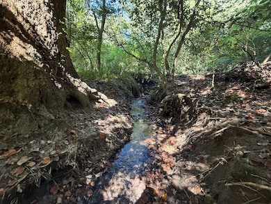 Shine Rd unit LotWP001, Snow Hill, NC 28580 - photo 7