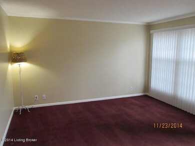 9301 Hudson Ln, Louisville, KY 40291 - photo 7