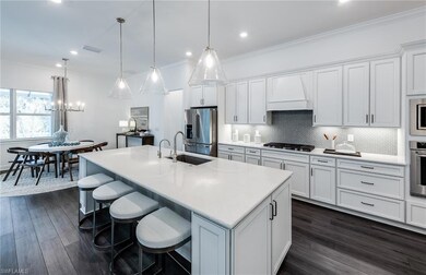 20601 Napa Loop, Estero, FL 33928 - photo 4