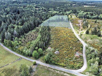 1121 W Highland Rd, Skok, WA 98584 - photo 4