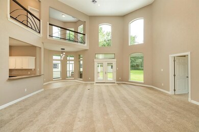 10113 County Road 400, Brazoria, TX 77422 - photo 6