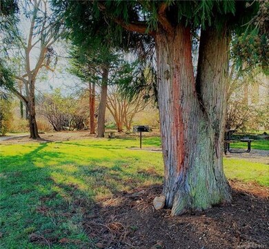 426 Appeldoorn Cir unit 426, Asheville, NC 28803 - photo 5